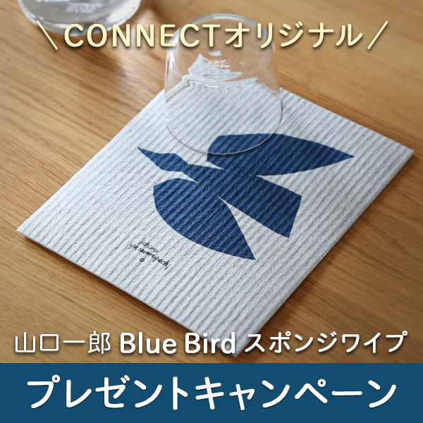 数量限定企画】山口一郎Bluebirdスポンジワイププレゼントキャンペーン