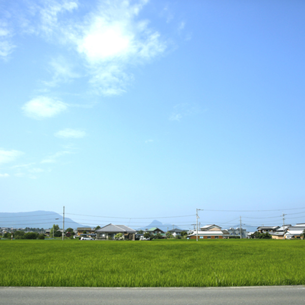 丸亀市綾歌町